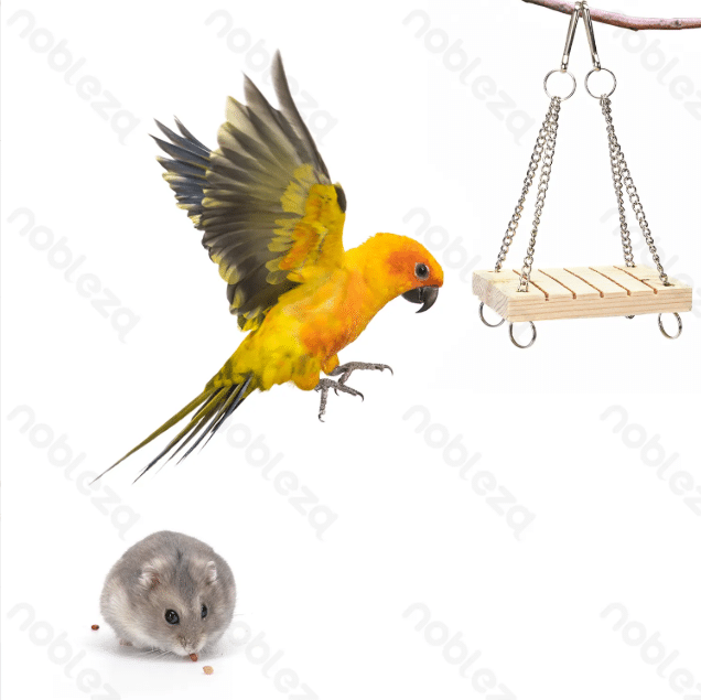 Altalena per uccelli e criceti